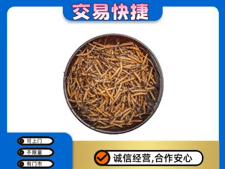 玉林高价回收散虫草